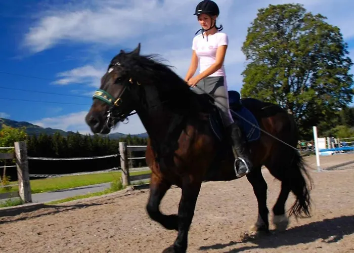 Апартаменты Deluxe Donna